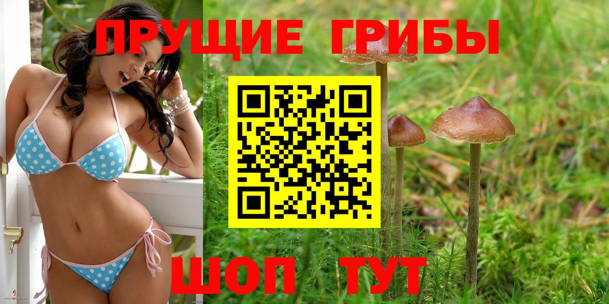 Псилоцибиновые грибы ЛСД Иваново